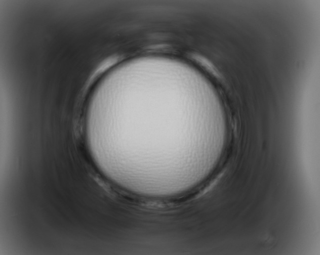 X0000083061405200703022123