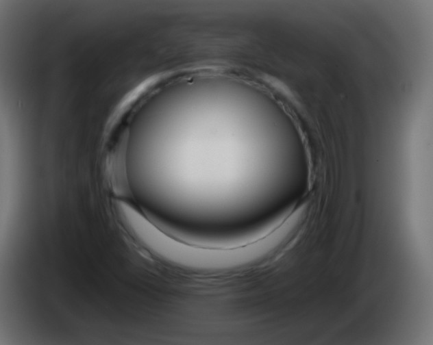 X0000083061406200703022123