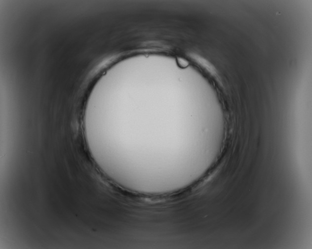 X0000083061407200703022123