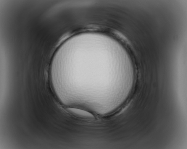 X0000083061409200703022123