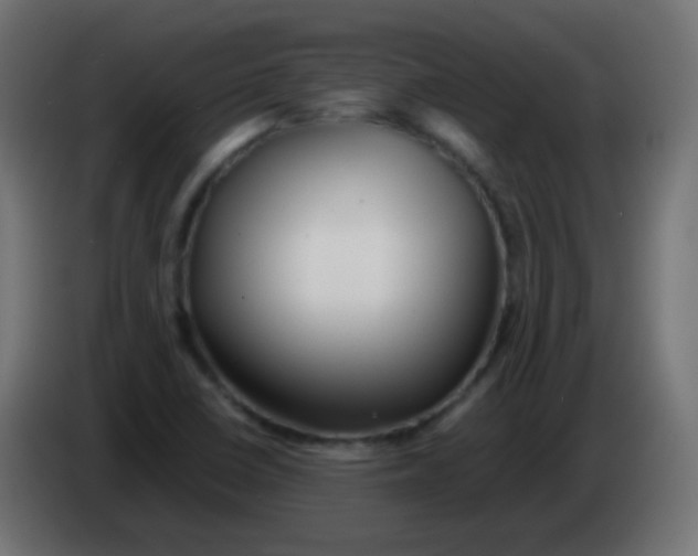 X0000083061410200703022123