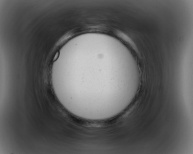 X0000083061411200703022123