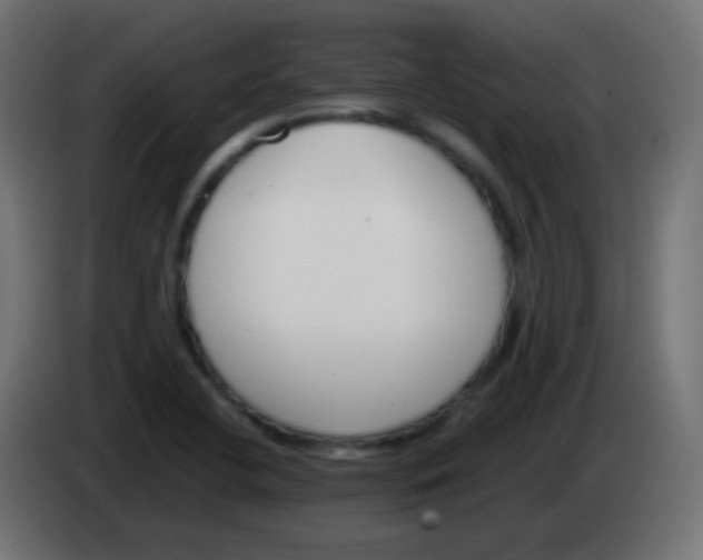 X0000083061412200703022123