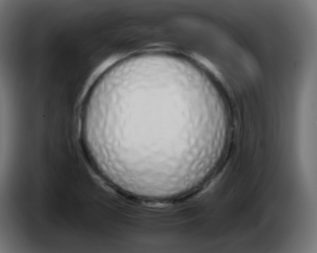 X0000083061413200703022123