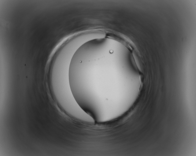 X0000083061414200703022123