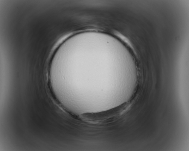 X0000083061415200703022123