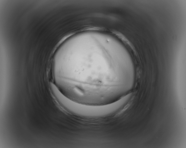 X0000083061417200703022123