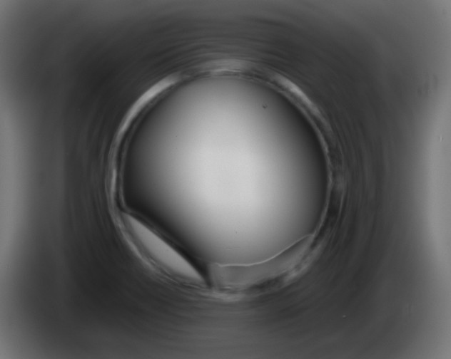 X0000083061418200703022123