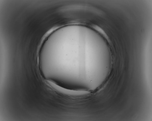 X0000083061419200703022123