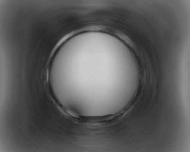 X0000083061420200703022123