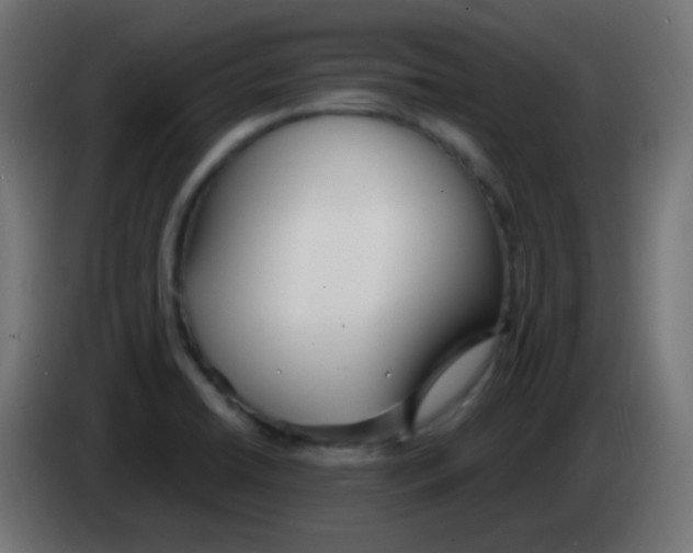 X0000083061422200703022123