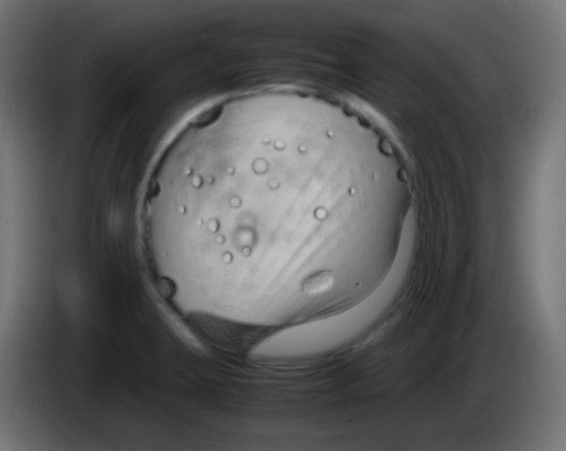 X0000083061423200703022123