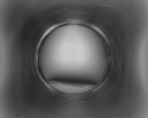 X0000083061424200703022123