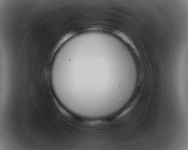 X0000083061425200703022123