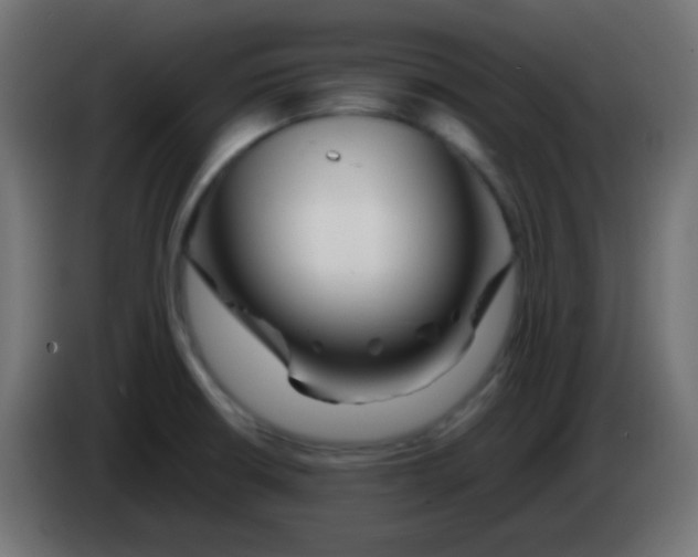 X0000083061426200703022123