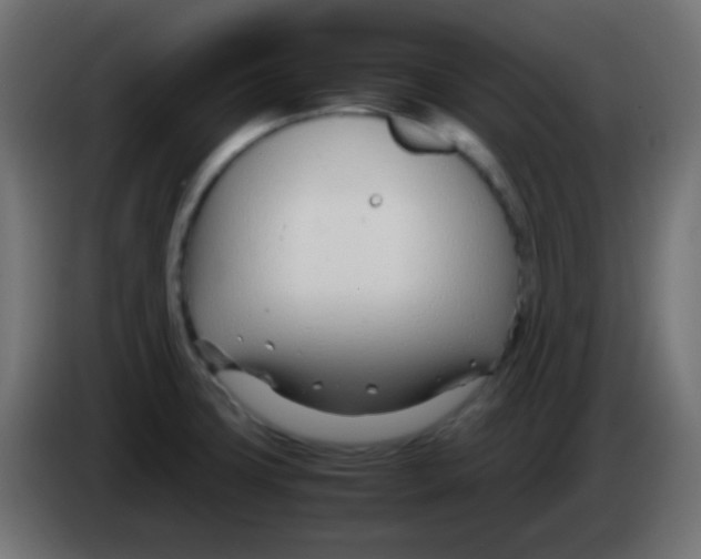 X0000083061427200703022123