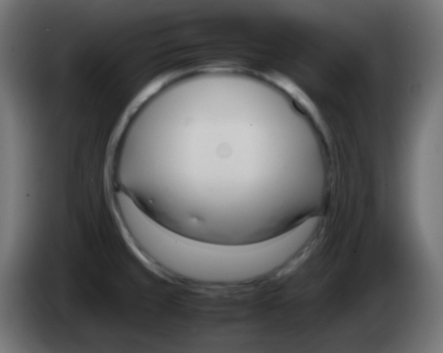 X0000083061429200703022123