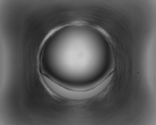 X0000083061430200703022123