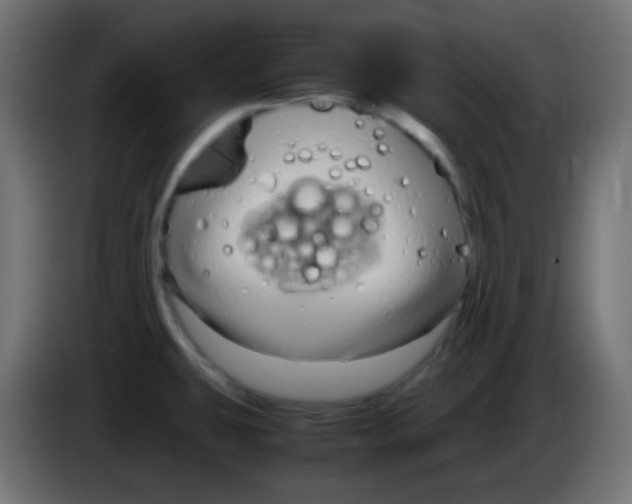 X0000083061431200703022123