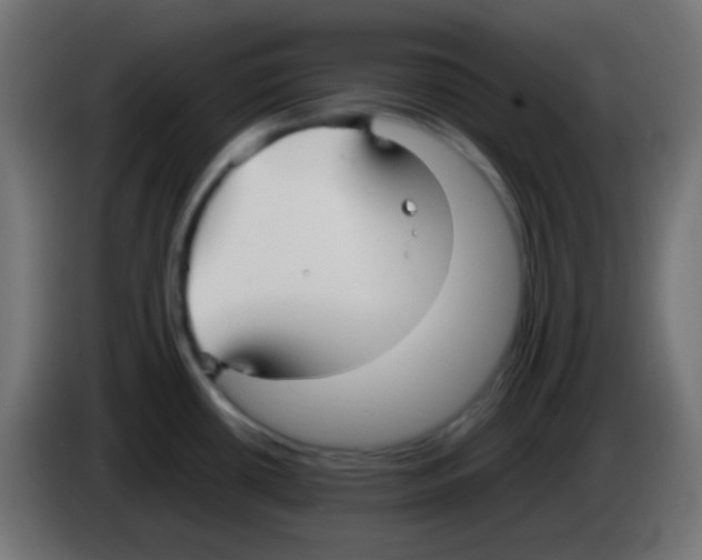 X0000083061434200703022123