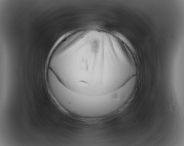 X0000083061436200703022123