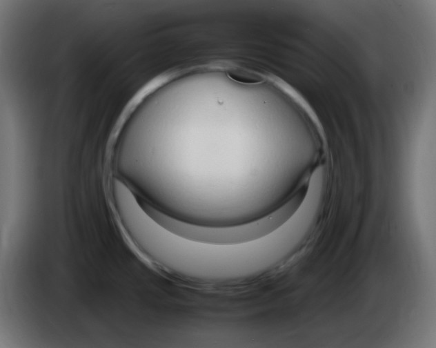 X0000083061437200703022123