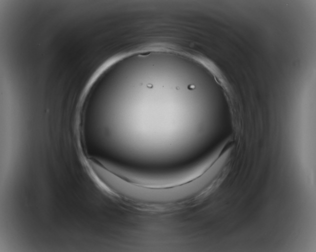 X0000083061438200703022123