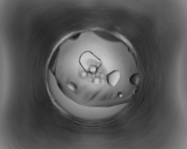 X0000083061439200703022123