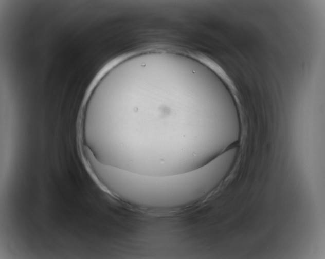 X0000083061440200703022123