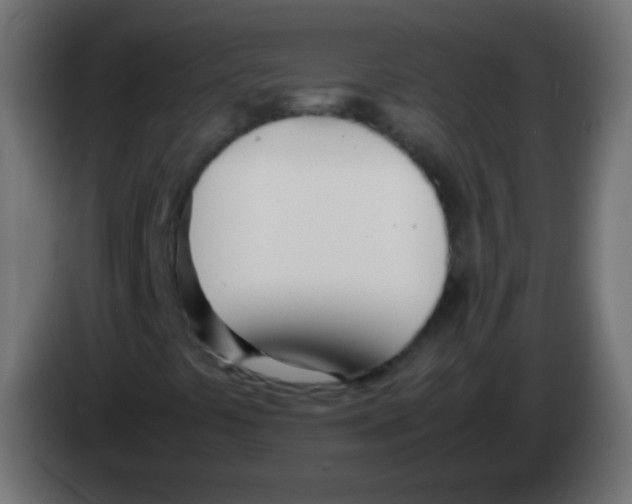 X0000083061441200703022123