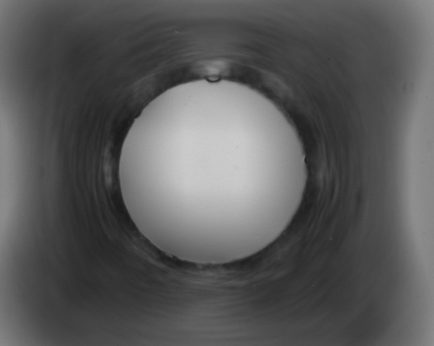 X0000083061442200703022123