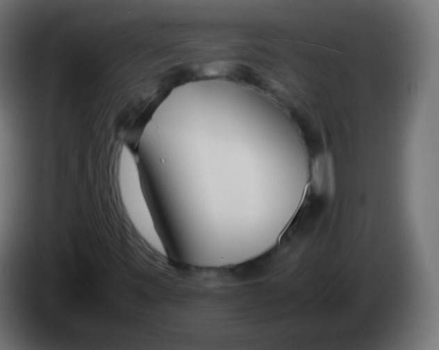 X0000083061443200703022123