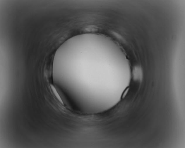 X0000083061444200703022123