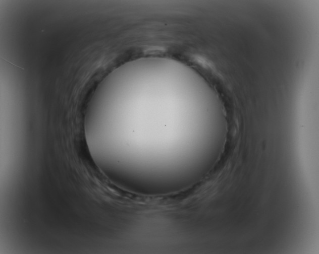 X0000083061445200703022123