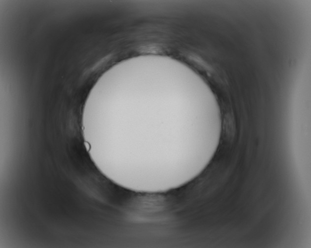 X0000083061446200703022123