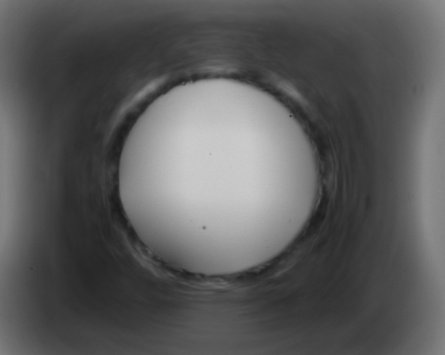 X0000083061448200703022123