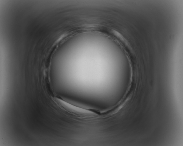 X0000083061449200703022123