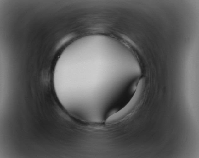 X0000083061450200703022123