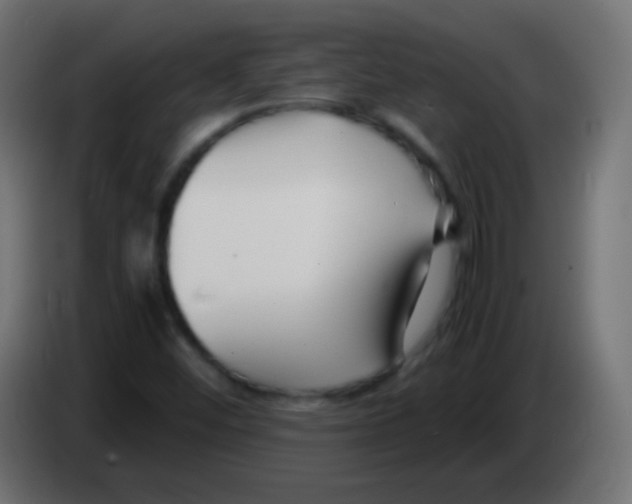 X0000083061452200703022122