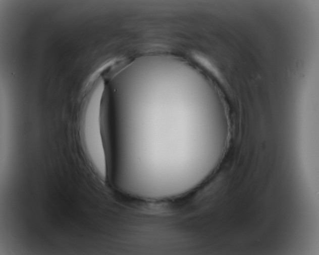 X0000083061453200703022122