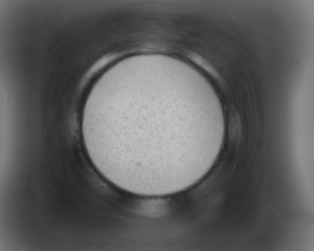 X0000083061454200703022122