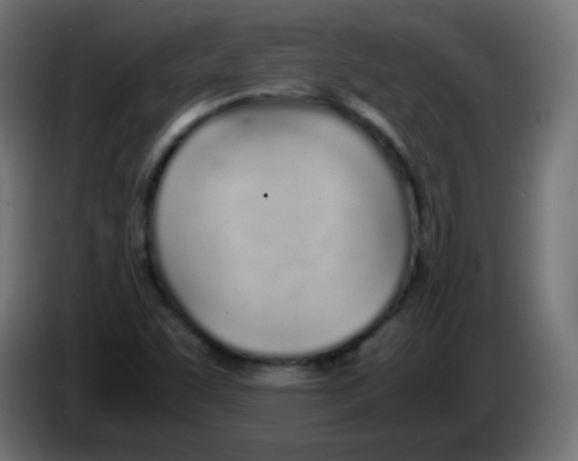 X0000083061455200703022122