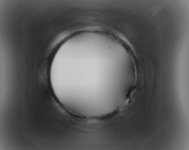 X0000083061456200703022122