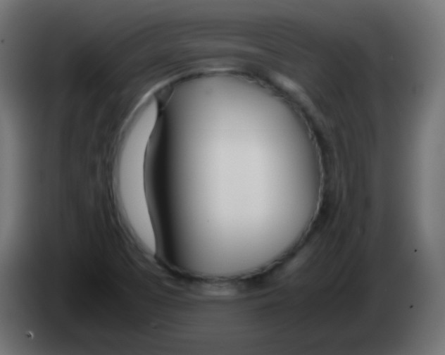 X0000083061457200703022122