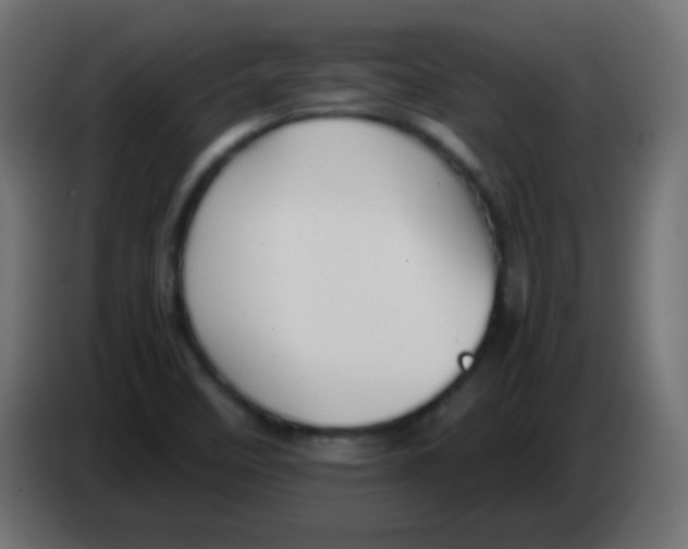 X0000083061458200703022122