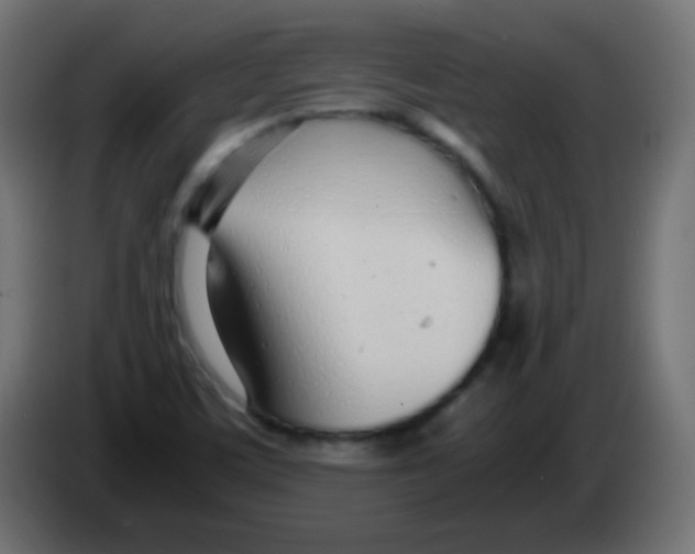 X0000083061459200703022122