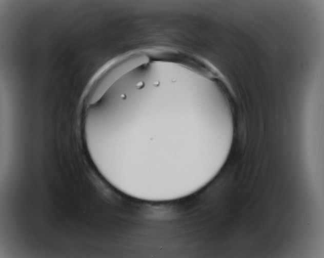 X0000083061460200703022122