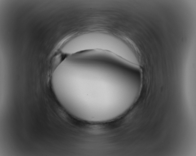 X0000083061461200703022122