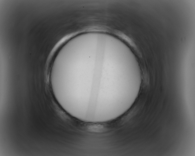 X0000083061462200703022122