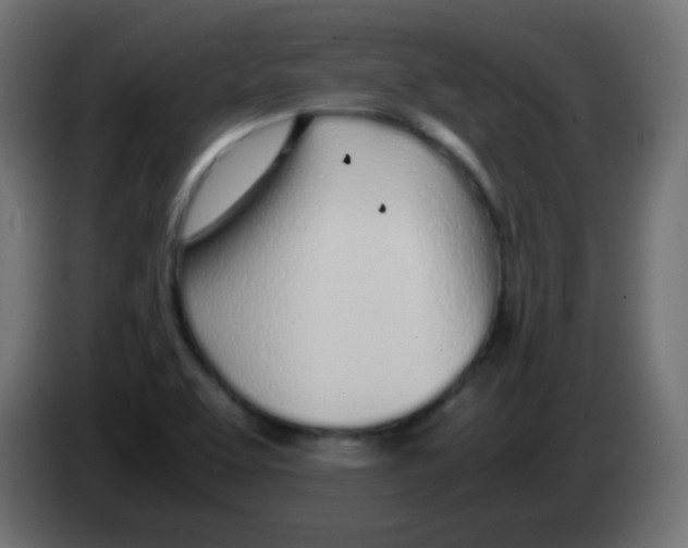 X0000083061463200703022122